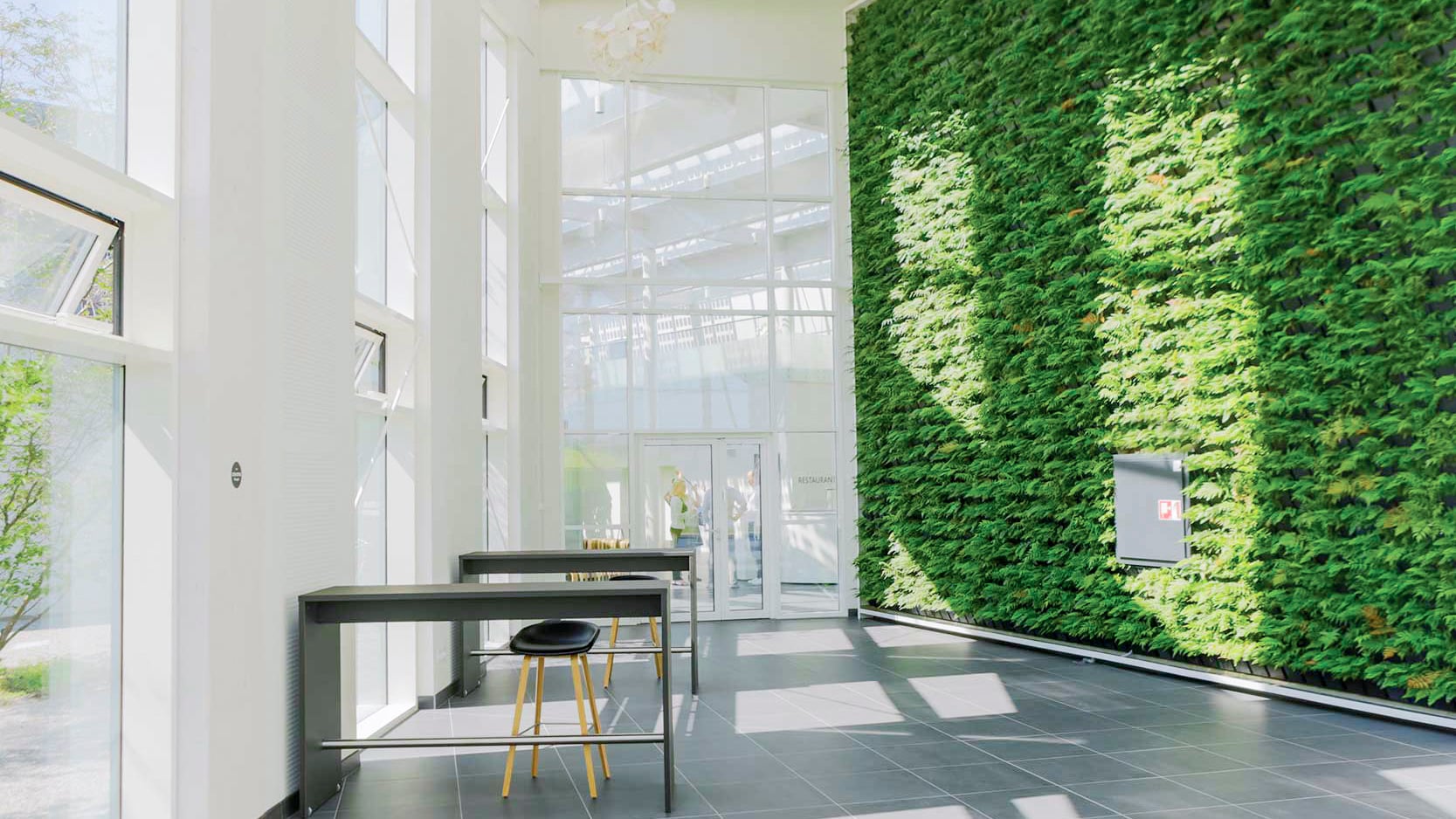 case-green-solution-house-4