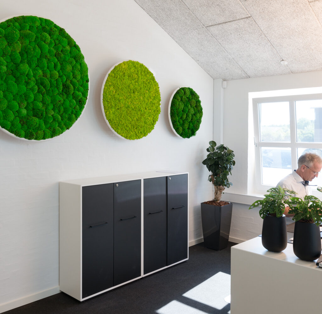 Jydsk Planteservice-1847 mosvæg, mosvægge, natural greenwalls