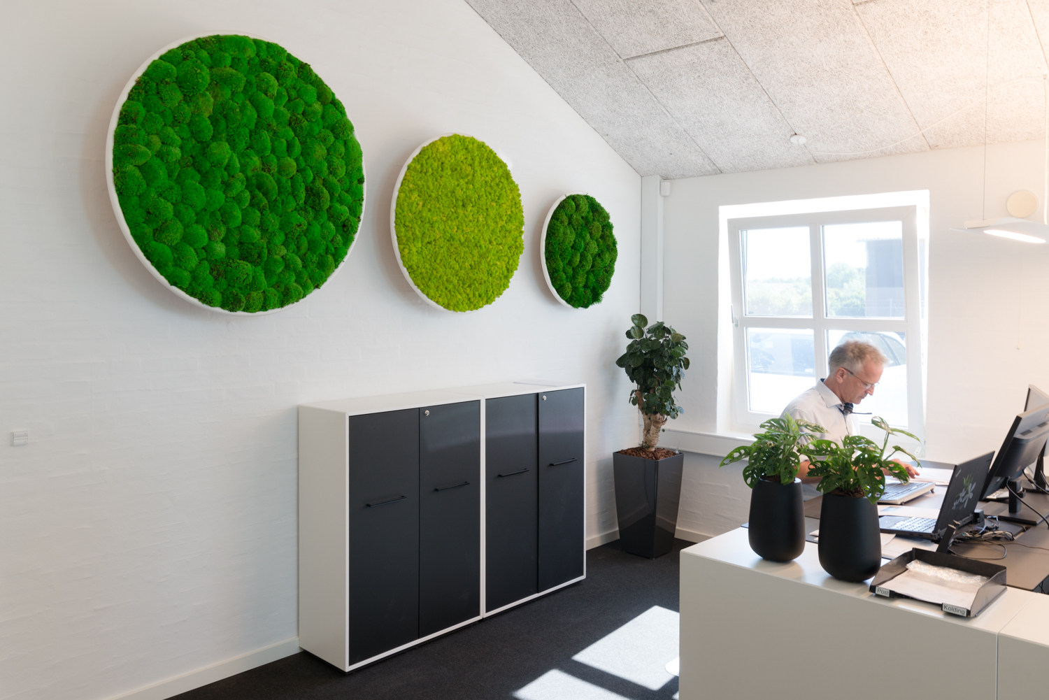 Jydsk Planteservice-1847 mosvæg, mosvægge, natural greenwalls