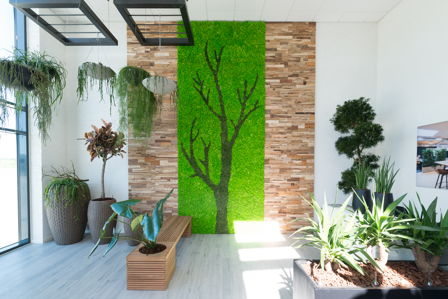 Jydsk Planteservice-1859 plantevæg, Teakwall, mosvæg, mosvægge, natural greenwalls